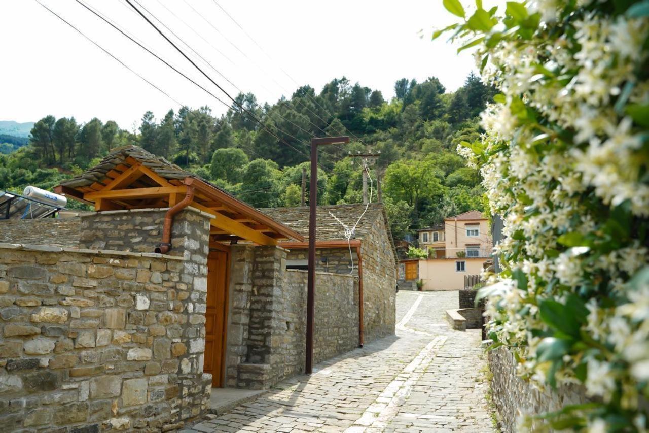 Gogo Moustache Guest House Përmet Dış mekan fotoğraf